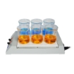 Multi-Position Magnetic Hotplate Stirrer, 6-Position