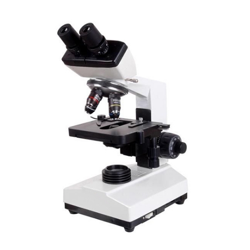  High-Resolution Upright Fluorescence Microscope