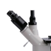Professional Inverted Fluorescence Microscope