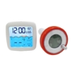Wireless Floating Pool Thermometer