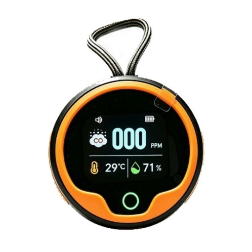 Portable Carbon Monoxide Detector, 0 to 500 ppm