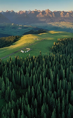 3 in 1 digital soil tester for forestry