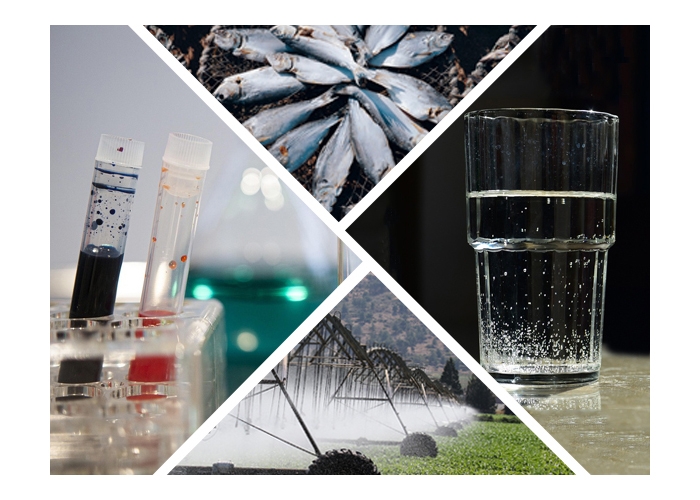 Application of water quality tester