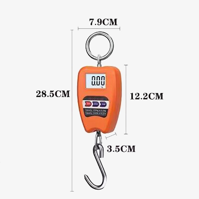 Portable crane scale size