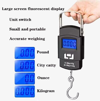 Portable mini crane scale units switch