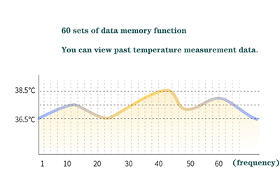 Wall mounted thermometer data memory function