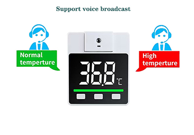 Wall mounted thermometer voice alarm function