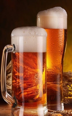 Brix refractometer for beer