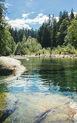 Chlorophyll-a and cyanobacteria tester for surface water