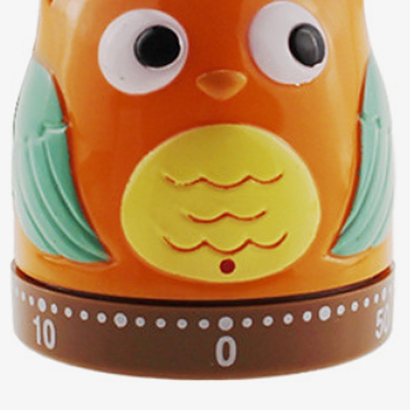 Clear scale on owl kitchen timer