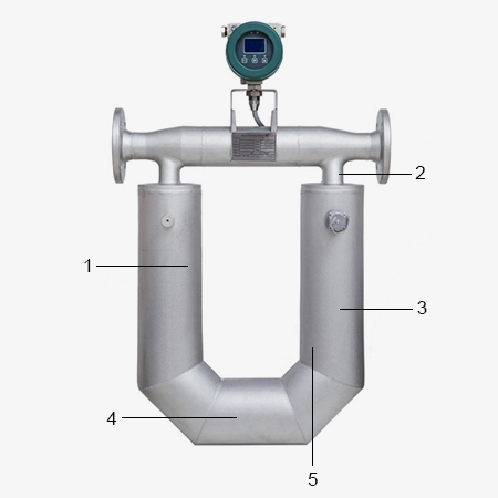 Coriolis variable area flow meter structure diagram