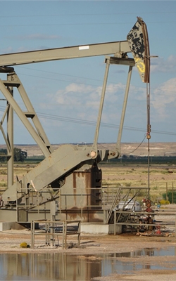 Density meter for petroleum