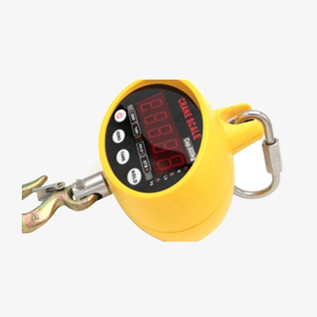 Details of mini crane scale