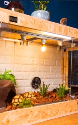 Digital aquarium thermometer incubator