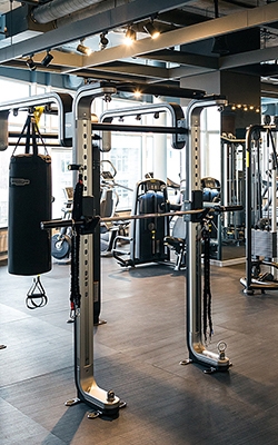 Digital grip strength dynamometer for fitness center