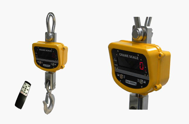 Details of digital hanging crane scale