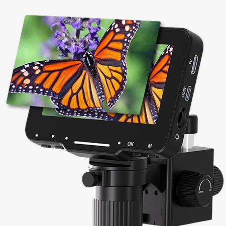 Digital microscope digital zoom