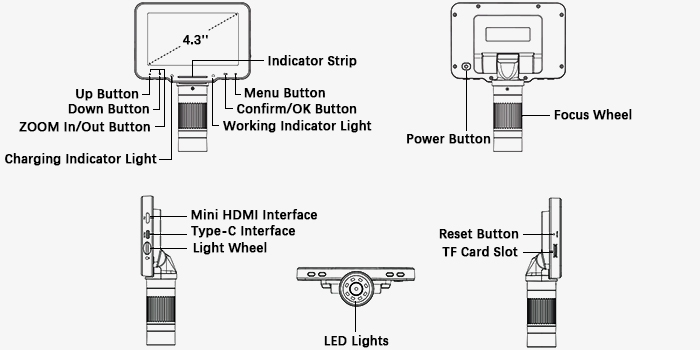 Digital microscope structures