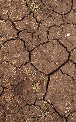 Digital soil compaction tester for agricultural soil testing