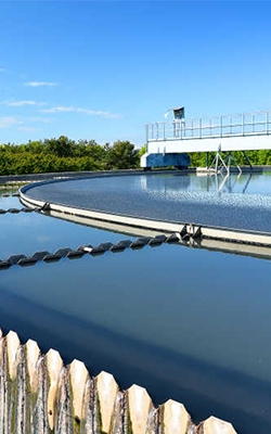Digital water quality tester for sewage treatment