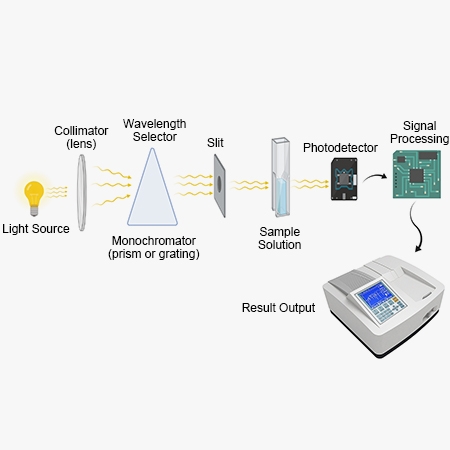 Double beam uv vis spectrophotometer program