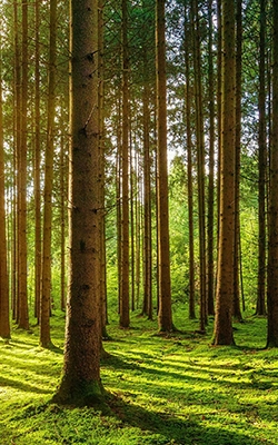 Environmental research
