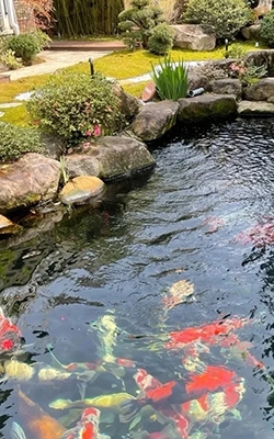 Floating pool thermometer for fish pond