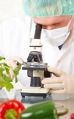 Food analysis for uv spectrophotometer double beam