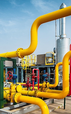 Gas sensor for natural gas detection