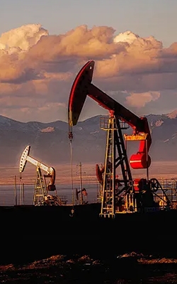 Gas sensor for petroleum industry