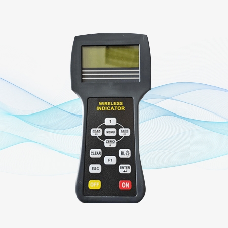 Handheld instrument for industrial crane scale