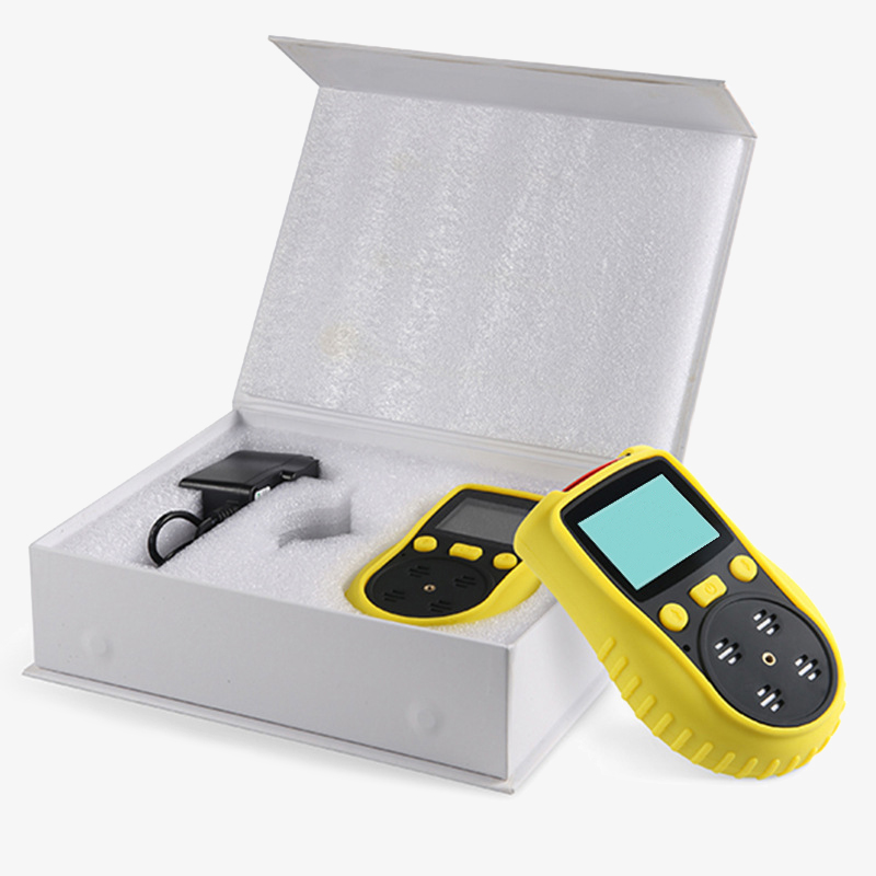 Handheld multi gas detector