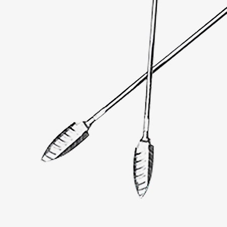 Heart shaped blade design of soil auger sampler with t handle
