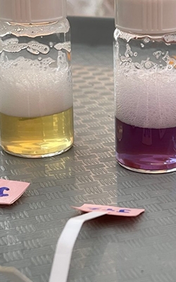 Heavy metal test kit for soil testing for research and education