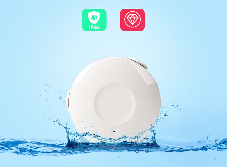 Home water leak detector features