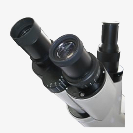 Inverted fluorescence microscope viewing head