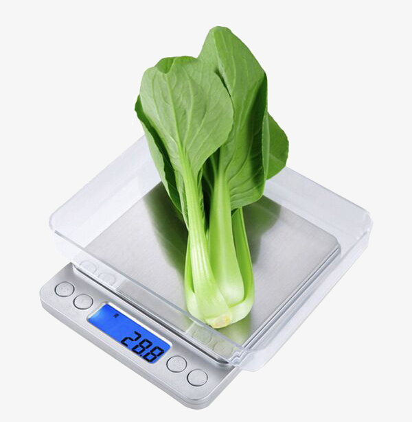 Kitchen food scale