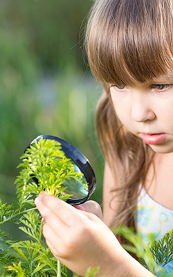 Magnifying glass for children's explorations
