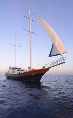 Maritime communications for digital satellite finder meter