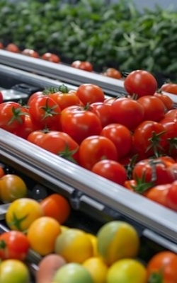 Microplate reader for food safety monitoring