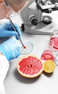 Mini pipette for food sample testing