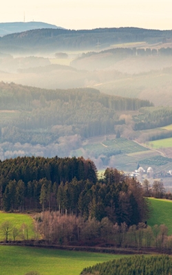 NOX gas detectors for air quality testing