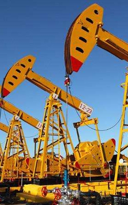 Oil 