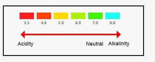 pH level