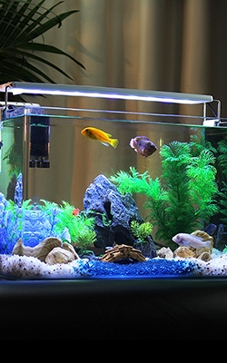 Digital pH meter for fish tank