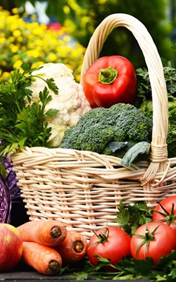 Plant photosynthesis meter for vegetables