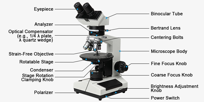Polarizing microscope structure