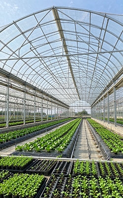 Air Quality Sensor Module For Agricultural Facility