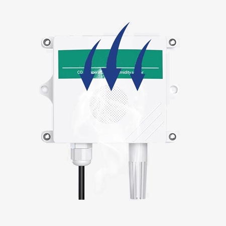 Carbon monoxide sensor detail