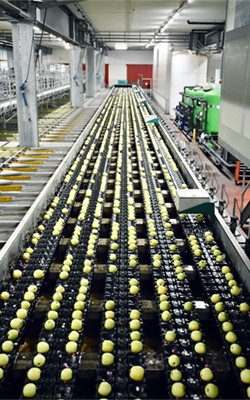 CO2 sensor for food and beverage industry
